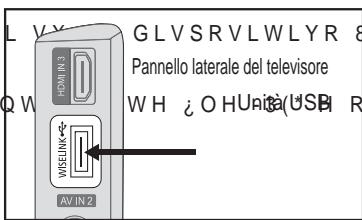 SAMSUNG LE46A559P4F - Utilizzo della funzione WISELINK - 1