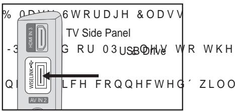 SAMSUNG LE46A559P4F - Using the WISELINK Function - 1