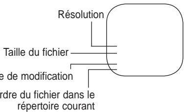 SAMSUNG LE52A559P4F - Utilisation du menu pendant un diaporama - 9