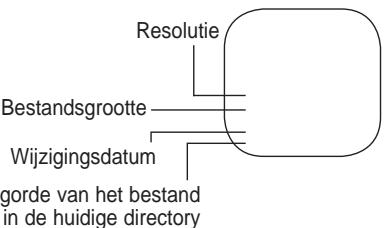 SAMSUNG LE52A559P4F - Gebruik van het menuijdens een diashow - 6