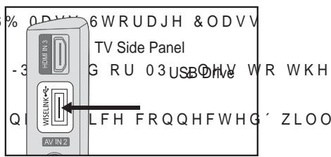 SAMSUNG LE52A559P4F - Using the WISELINK Function - 1