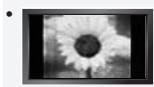 SAMSUNG LE52A568P3M - Précautions à prendre lors de l'affichage d'une image fixe - 1