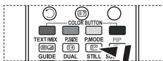 SAMSUNG LE52M87BD - Spremembaslikovega standarda - 3