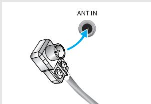 ANT IN