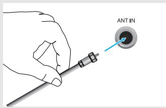 ANT IN