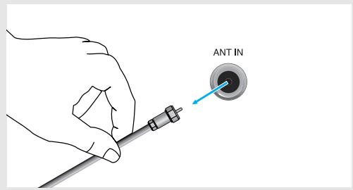 ANT IN