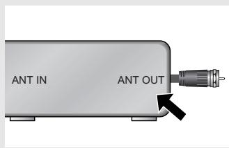 ANT IN ANT OUT
