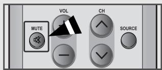 MUTE VOL CH SOURCE