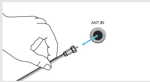 ANT IN