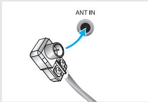 ANT IN