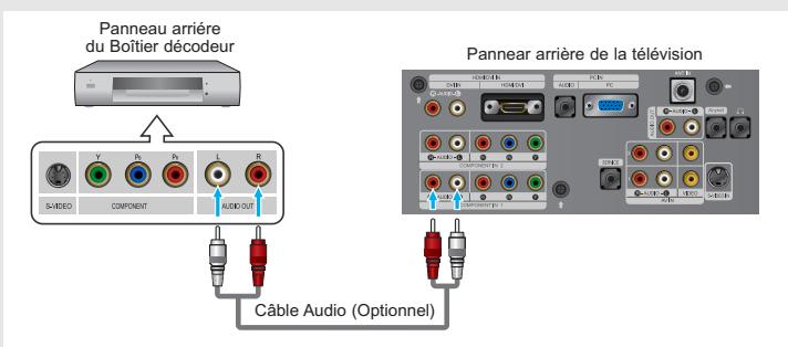 Panneau arrière du Boîtier décodeur SVMISO Y P0 P1 L R COMPONENT AUDIO OUT Câble Audio (Optionnel) Panneau arrière de la télévision