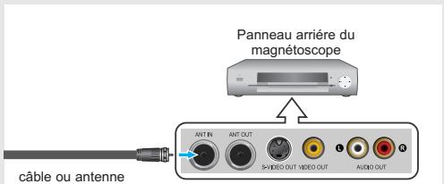 Panneau arrière du magnétoscope ANT IN ANT OUT 5-VIDEO OUT VIDEO OUT AUDIO OUT câble ou antenne