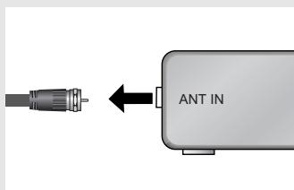 ANT IN
