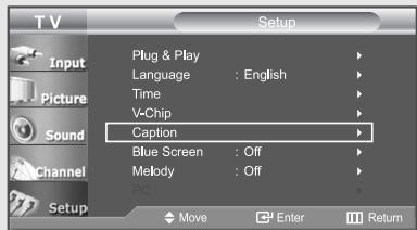 T V Setup Plug & Play Language : English Time V-Chip Caption Blue Screen : Off Melody : Off PC Move Enter Return