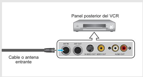 Panel posterior del VCR Cable o antena entrante ANT IN ANT OUT 5+VIDEO OUT VIDEO OUT AUDIO OUT