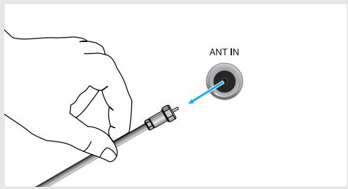 ANT IN