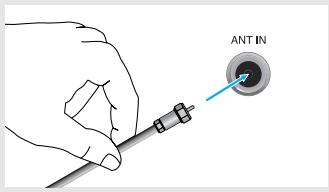 ANT IN