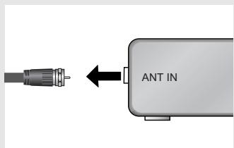 ANT IN