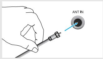 ANT IN