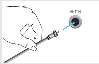 ANT IN