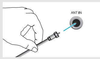 ANT IN