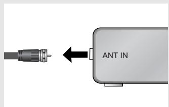 ANT IN