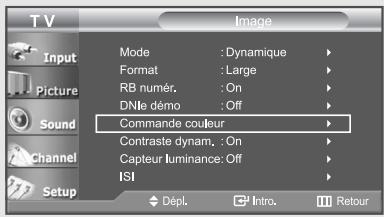 TV Input Picture Sound Channel Setup Mode : Dynamique Format : Large RB numér. : On DNle démo : Off Commande couleur Contraste dynam. : On Capteur luminance: Off ISI Dépl. Intro. Retour