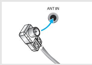 ANT IN
