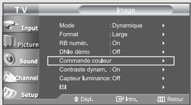 TV Input Picture Sound Channel Setup Mode : Dynamique Format : Large RB numér. : On DNle démo : Off Commande couleur Contraste dynam. : On Capteur luminance: Off ISI Dépl. Intro. Retour