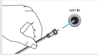 ANT IN