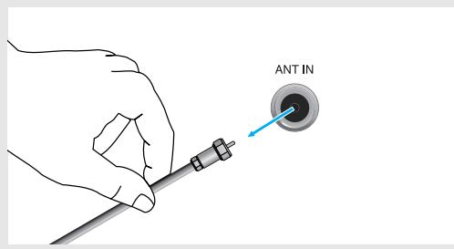 ANT IN