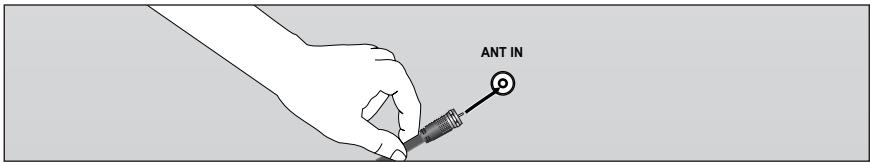 ANT IN