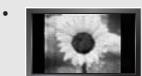 SAMSUNG LN-S1952W - Precautions When Displaying a Still Image - 1