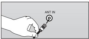 ANT IN