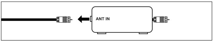 ANT IN