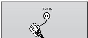 ANT IN