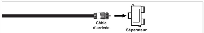 Câble d'arrivée Séparateur