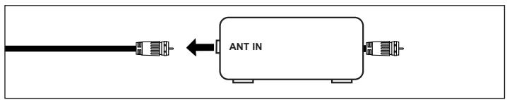 ANT IN