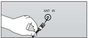 ANT IN