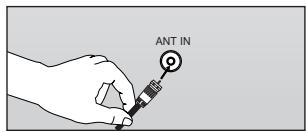 ANT IN