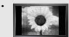 SAMSUNG LN-S1952W - Precauciones al mostrar en la pantalla una imagen fija - 1