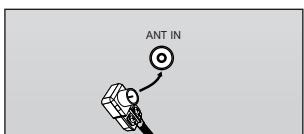 ANT IN