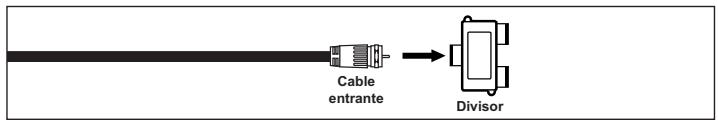 Cable entrante Divisor