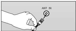 ANT IN
