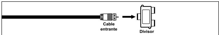Cable entrante Divisor