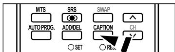 MTS AUTO PROG. SRS ADD/DEL SET SWAP CAPTION CH Reu.