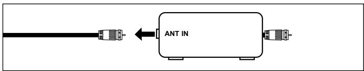 ANT IN
