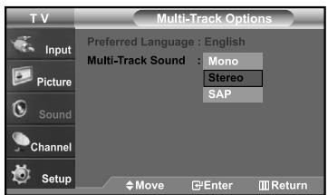 Multi-Track Options Preferred Language : English Multi-Track Sound : Mono Stereo SAP Move Enter Return