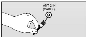 ANT 2 IN (CABLE)