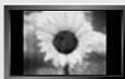 SAMSUNG LN-S3241D - Precautions When Displaying a Still Image - 1